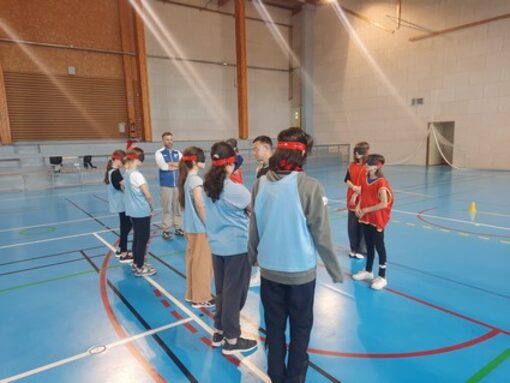 6e .jpg